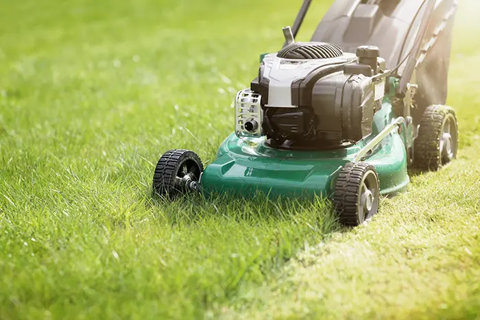 Can You Mow Wet Grass in Columbia, MD