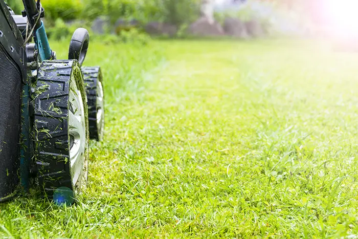 Can You Mow Wet Grass in Columbia, MD