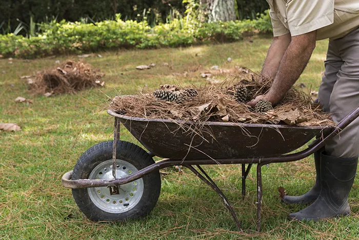 How To Clean A Backyard in Columbia, MD