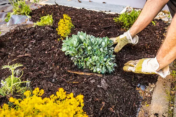 How long does mulch last  in Columbia, MD