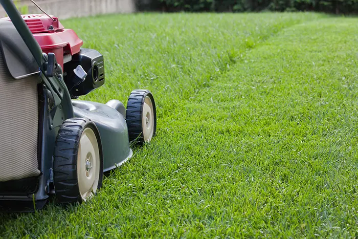 How to Mow a Lawn in Columbia, MD