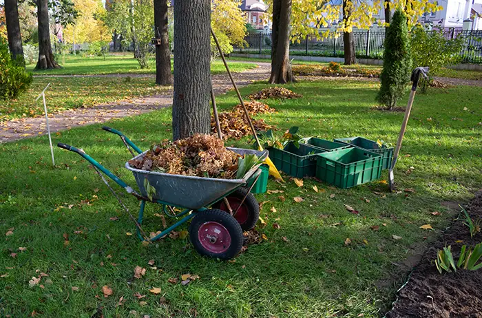 How to clear a yard full of weeds in Columbia, MD