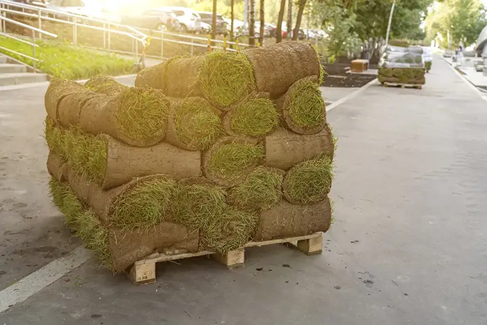 How to lay sod over existing lawn in Columbia, MD