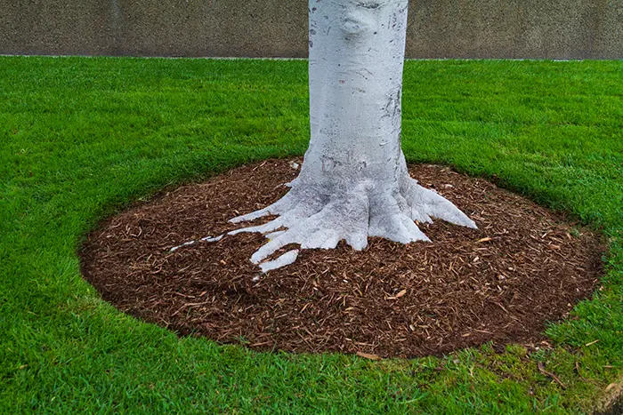 Mulching in Columbia, MD