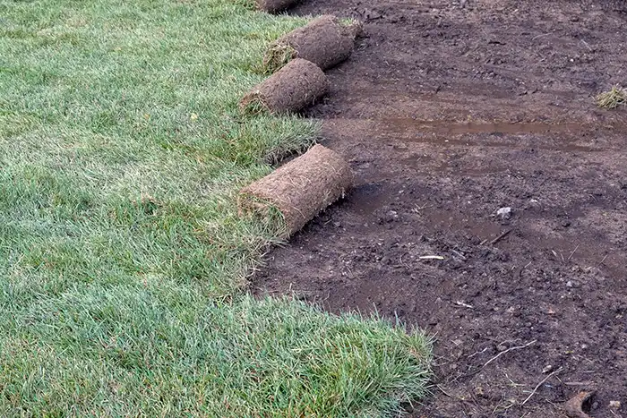 Sod Installation in Columbia, MD