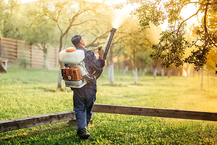 When is the best time to fertilize your lawn in Columbia, MD