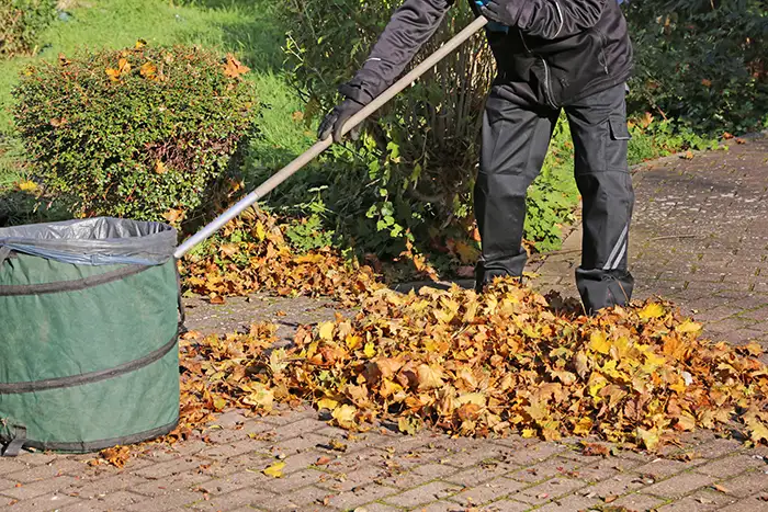 Yard Cleanup in Columbia, MD