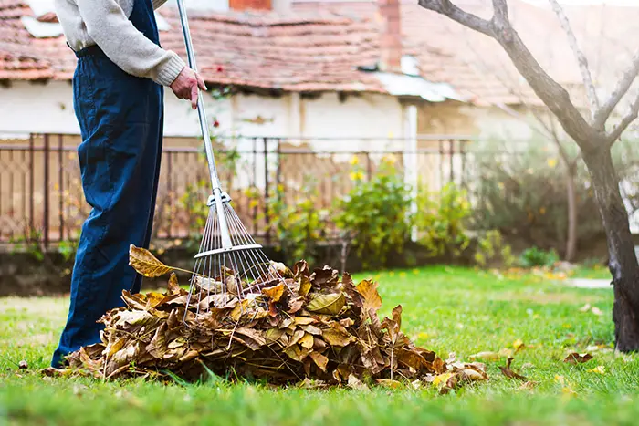 Yard Cleanup in Columbia, MD