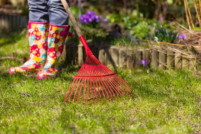 Yard Cleanup in Columbia, MD